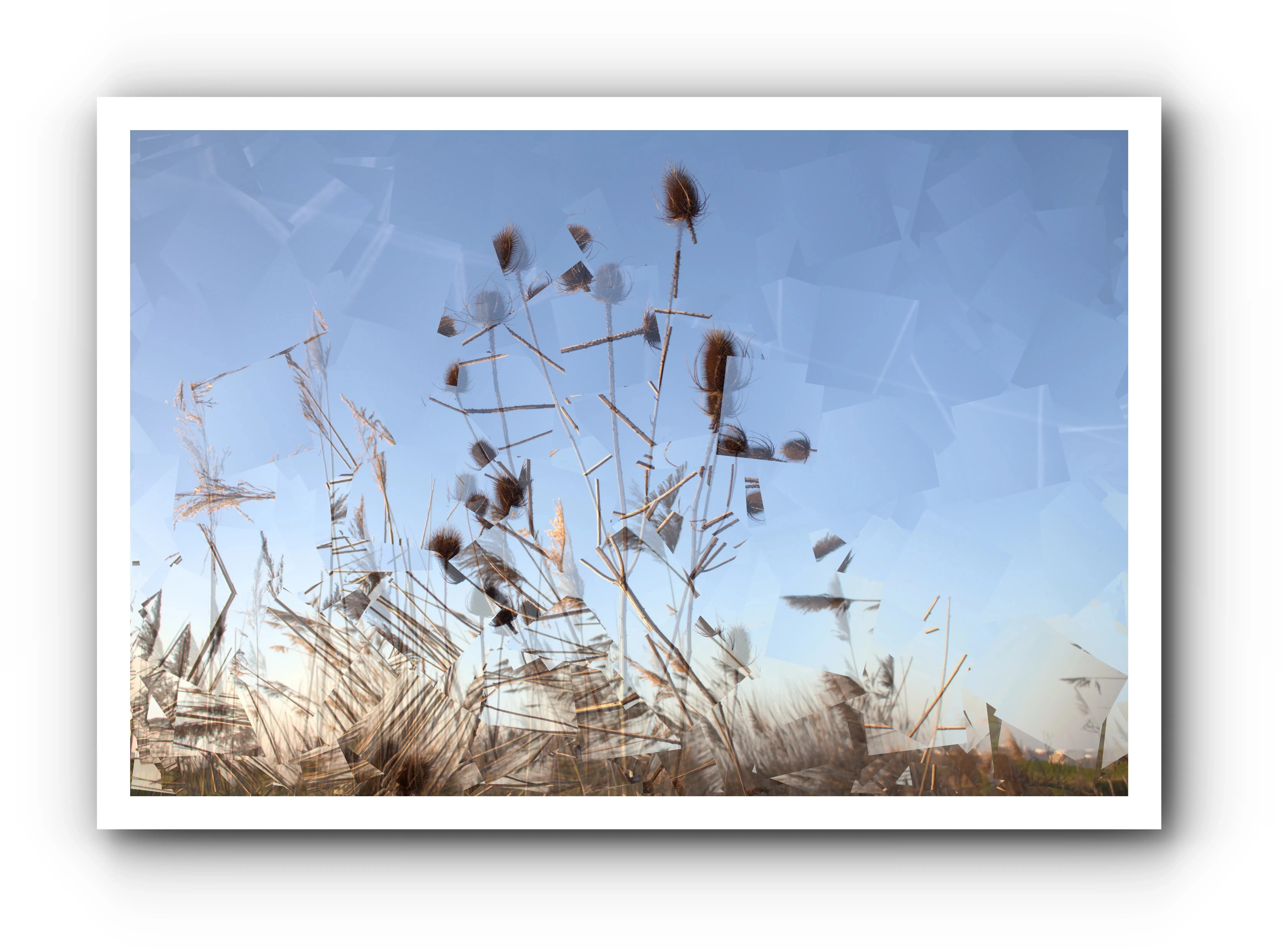 Toile de Nature